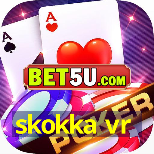 skokka vr